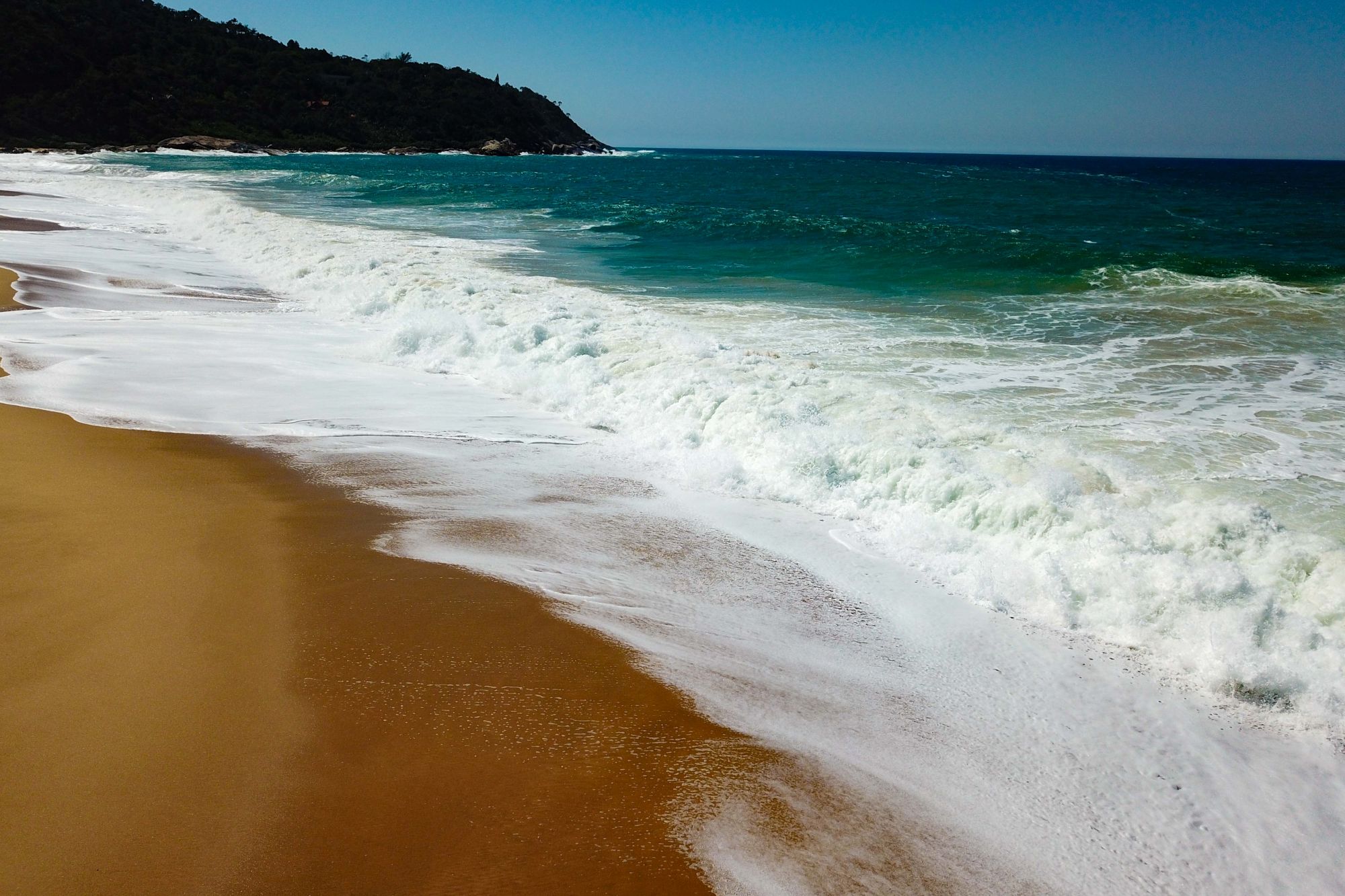 09012026 Eduardo Valente Secom GOVSC