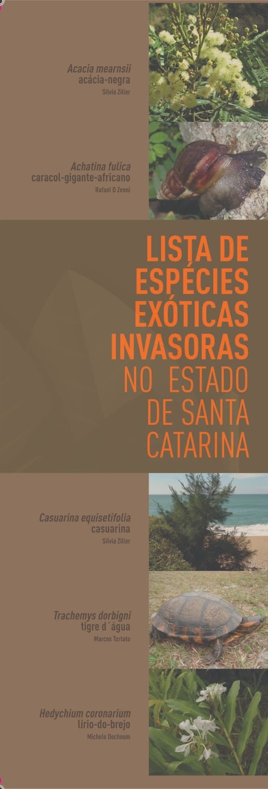 0 14.jpglistaexovert