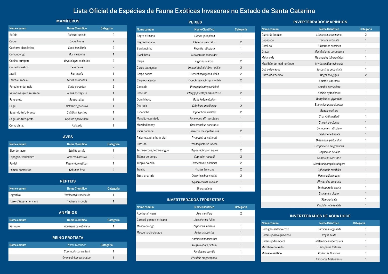 0 17.jpgexoticalistexotica