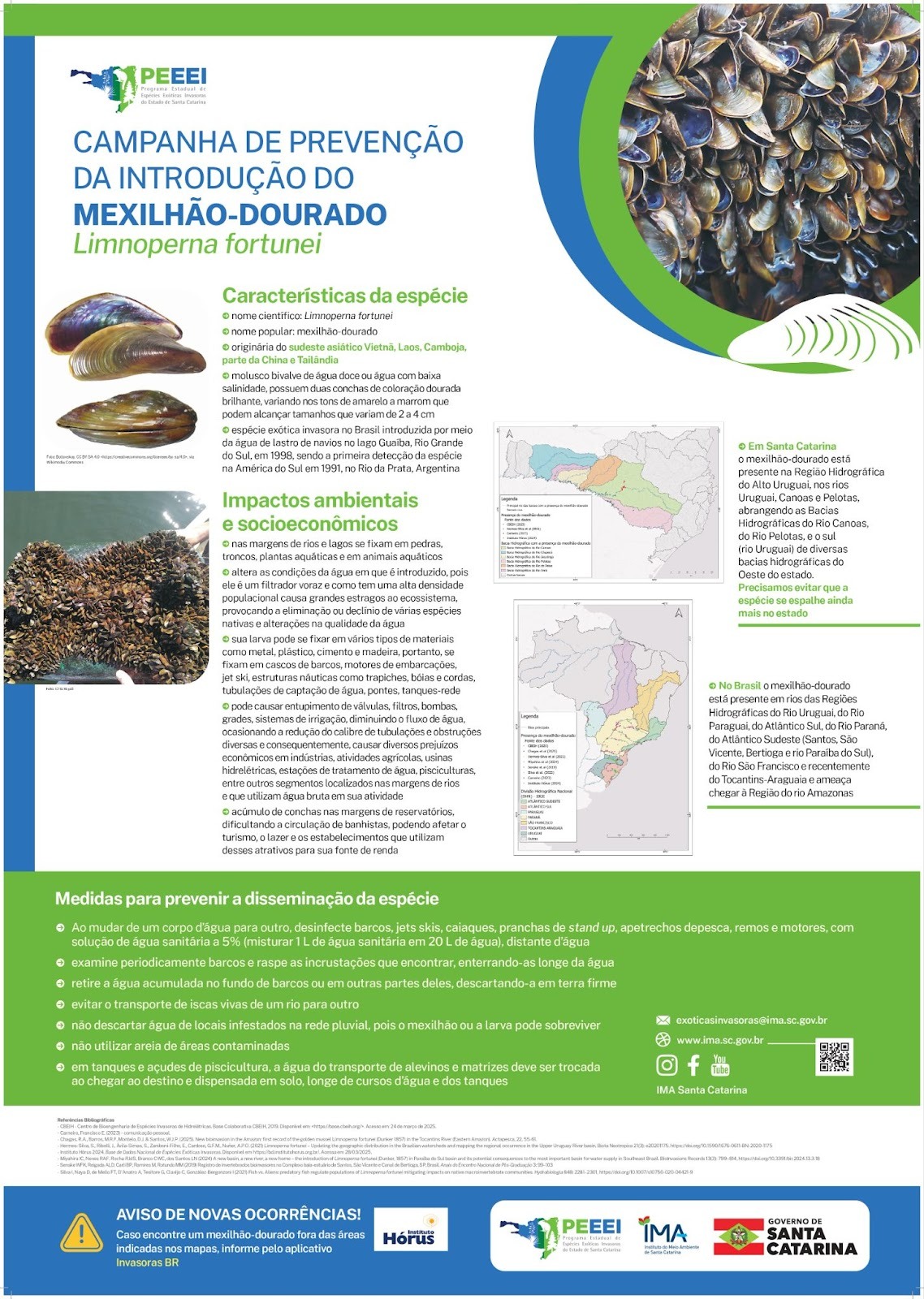 0 2.jpgmexilhaoooeii