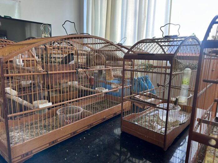 29877624 afff 472f 9640 2800848d6306 696x522