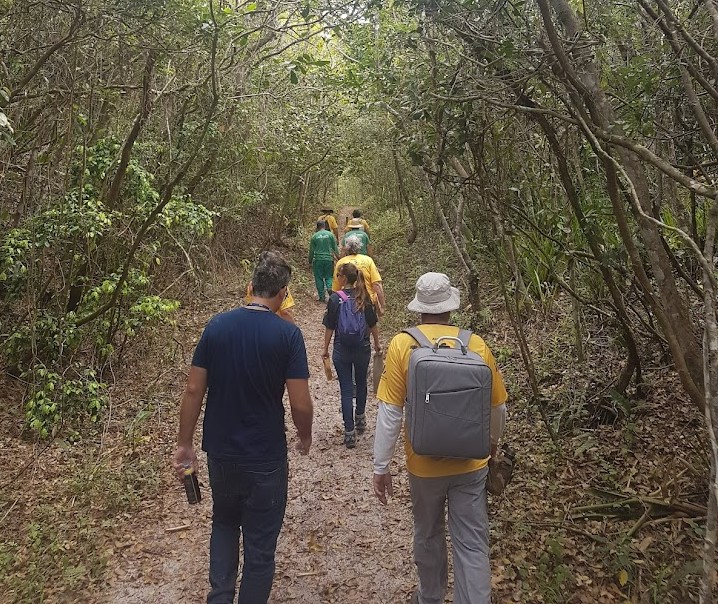 Caminho da Ilha de Santa Catarina Imagem Adriana Nunes