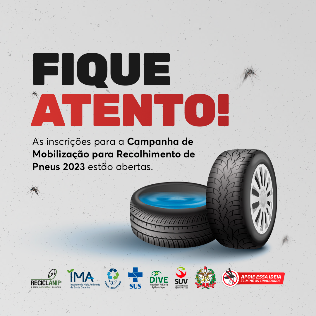 Card dengue 2 campanha pneus 1