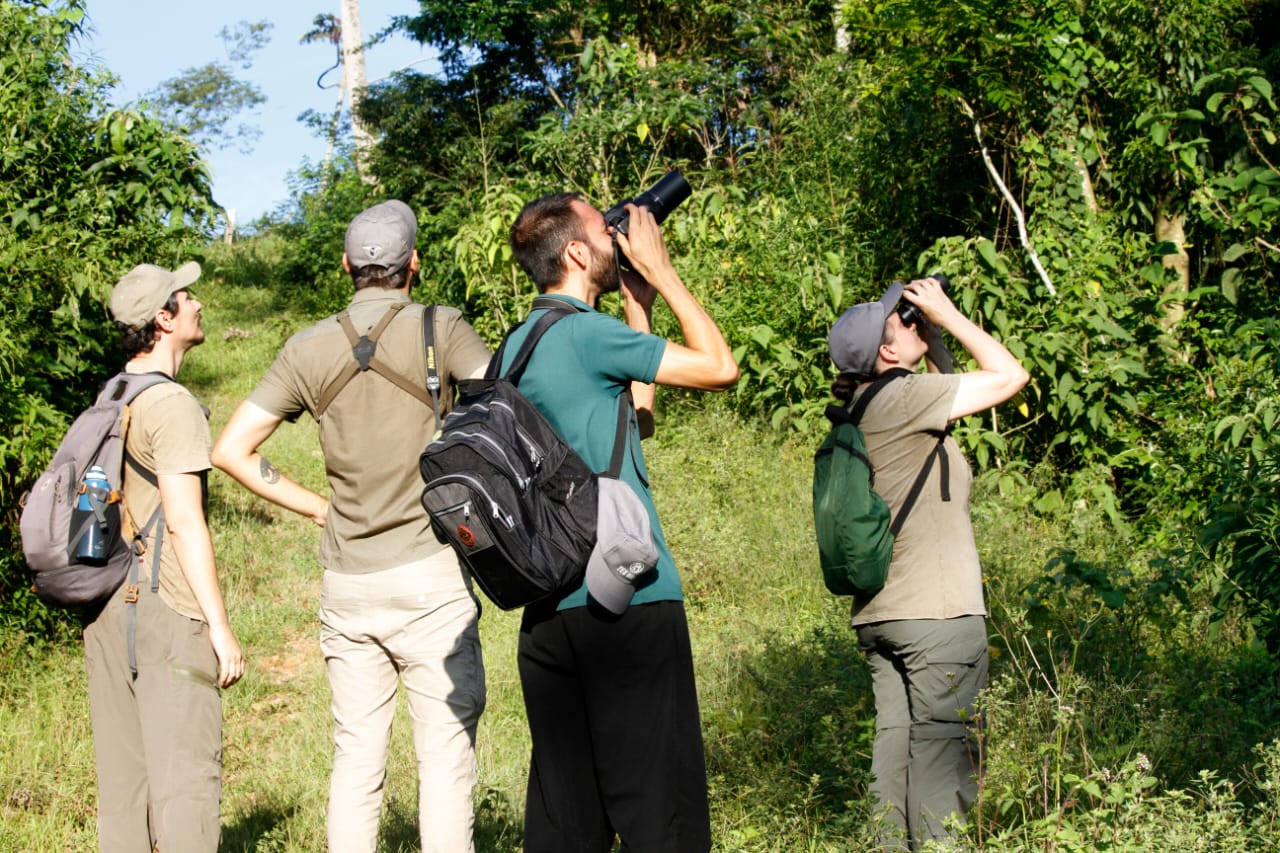 Unidades de Conservação administradas pelo IMA receberão evento mundial de observação de aves