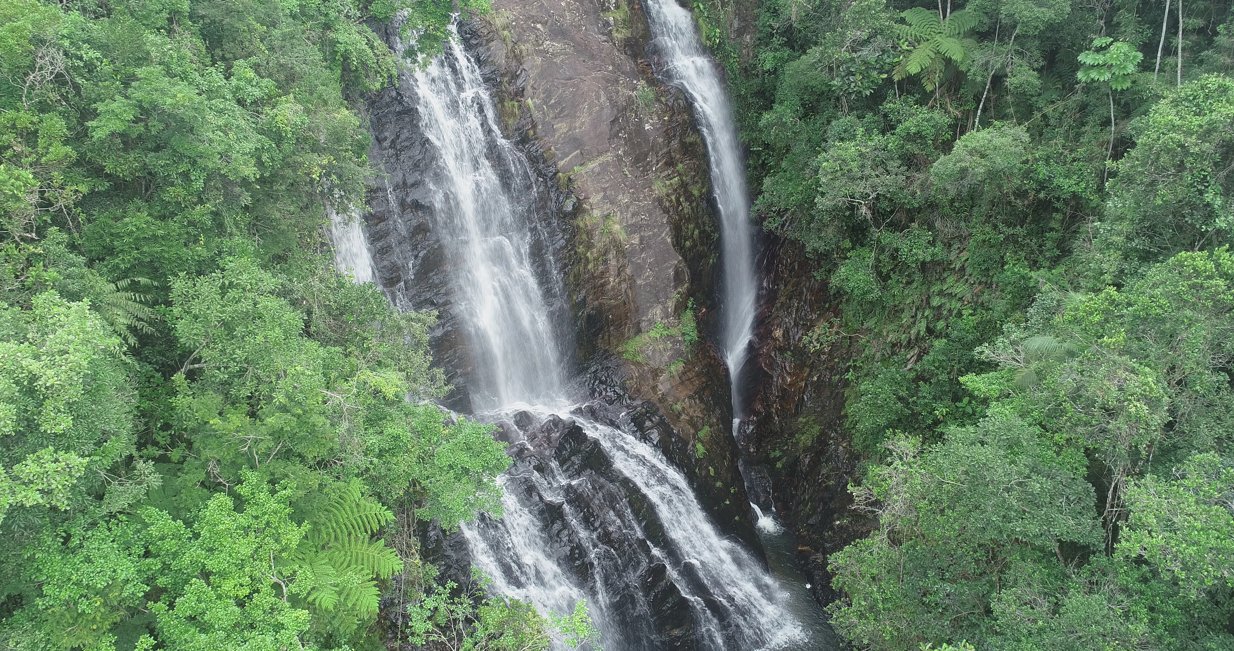 DJI 0358canelaadrio2025site