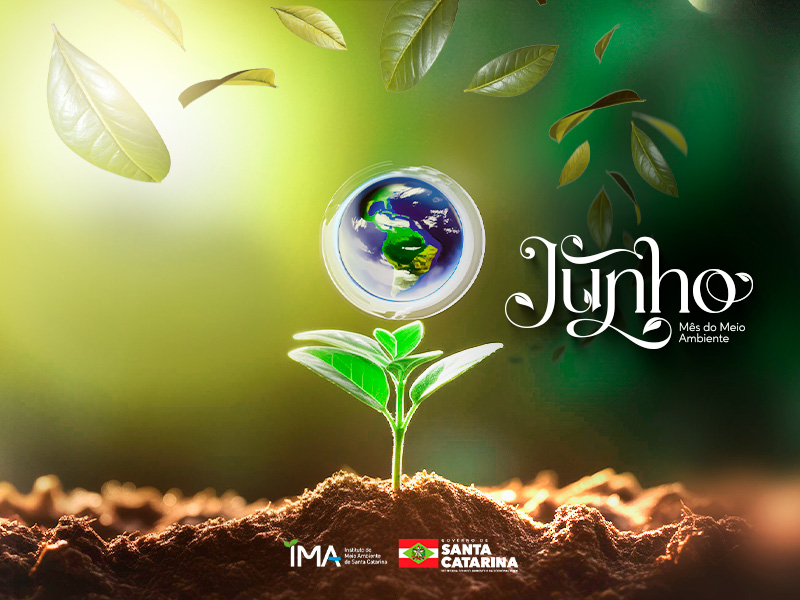 MEIO AMBIENTE 800x600 2024
