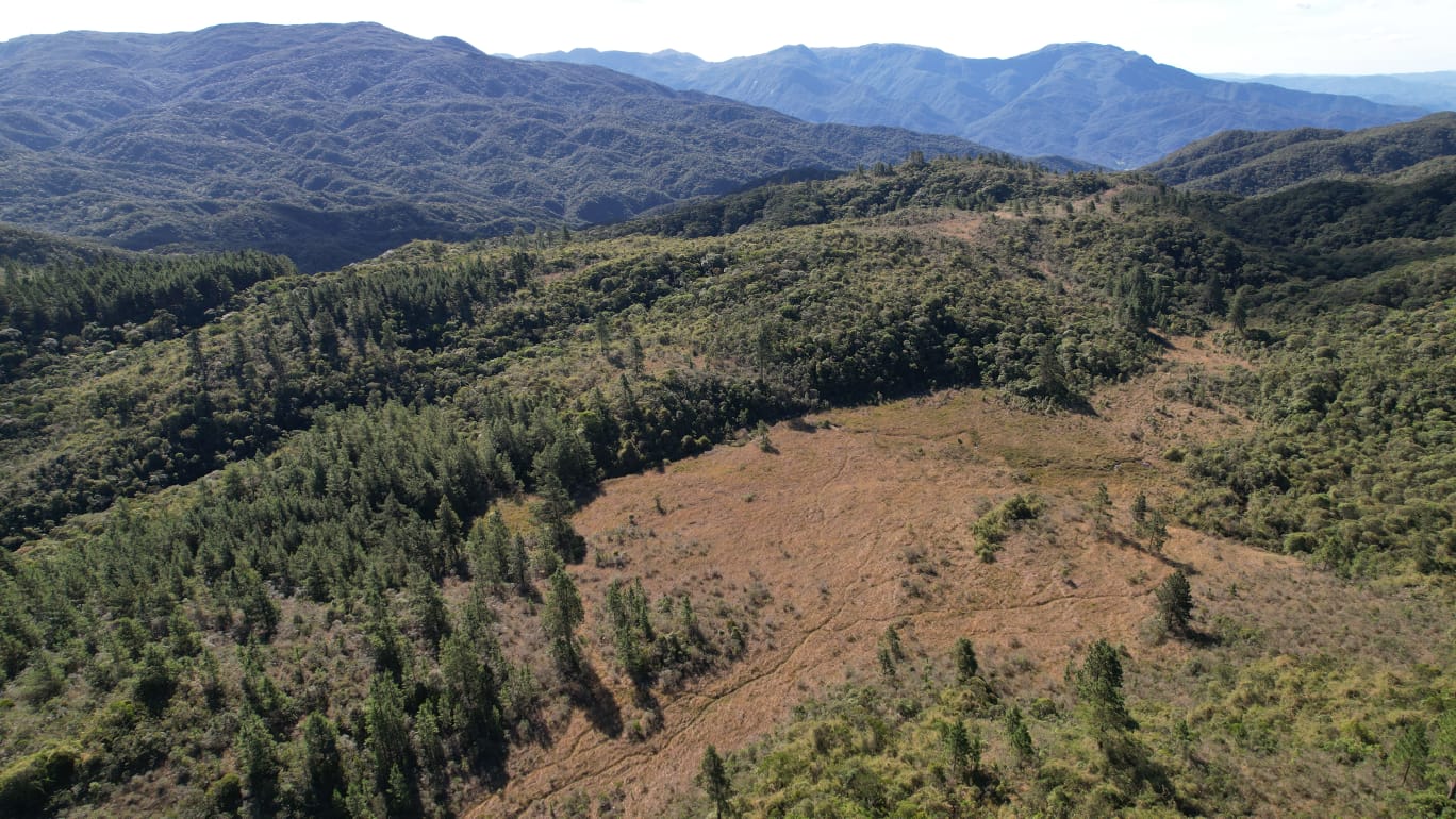 WhatsApp Image 2026 04 09 at 13.32.33