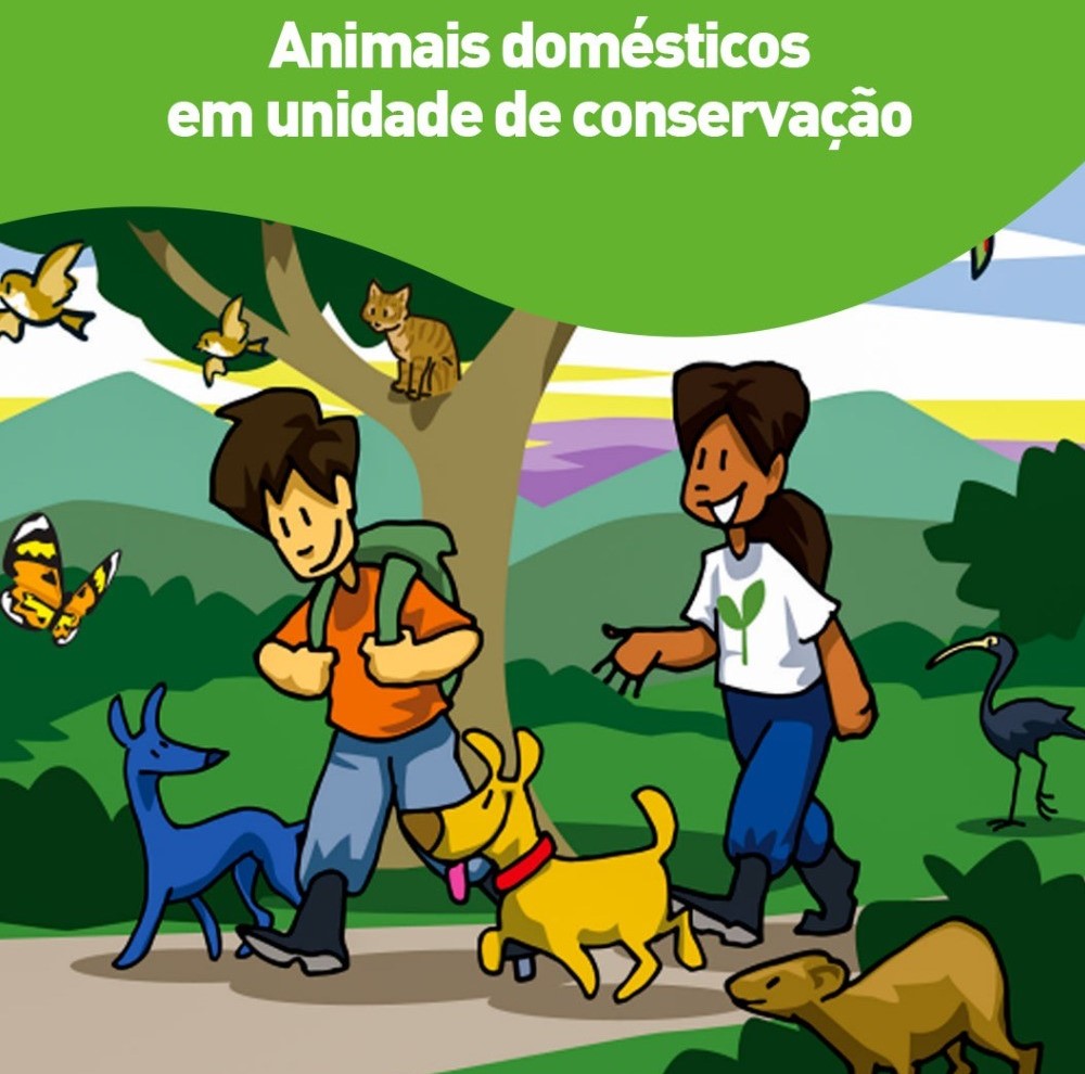 campanha caes e gatos UCs