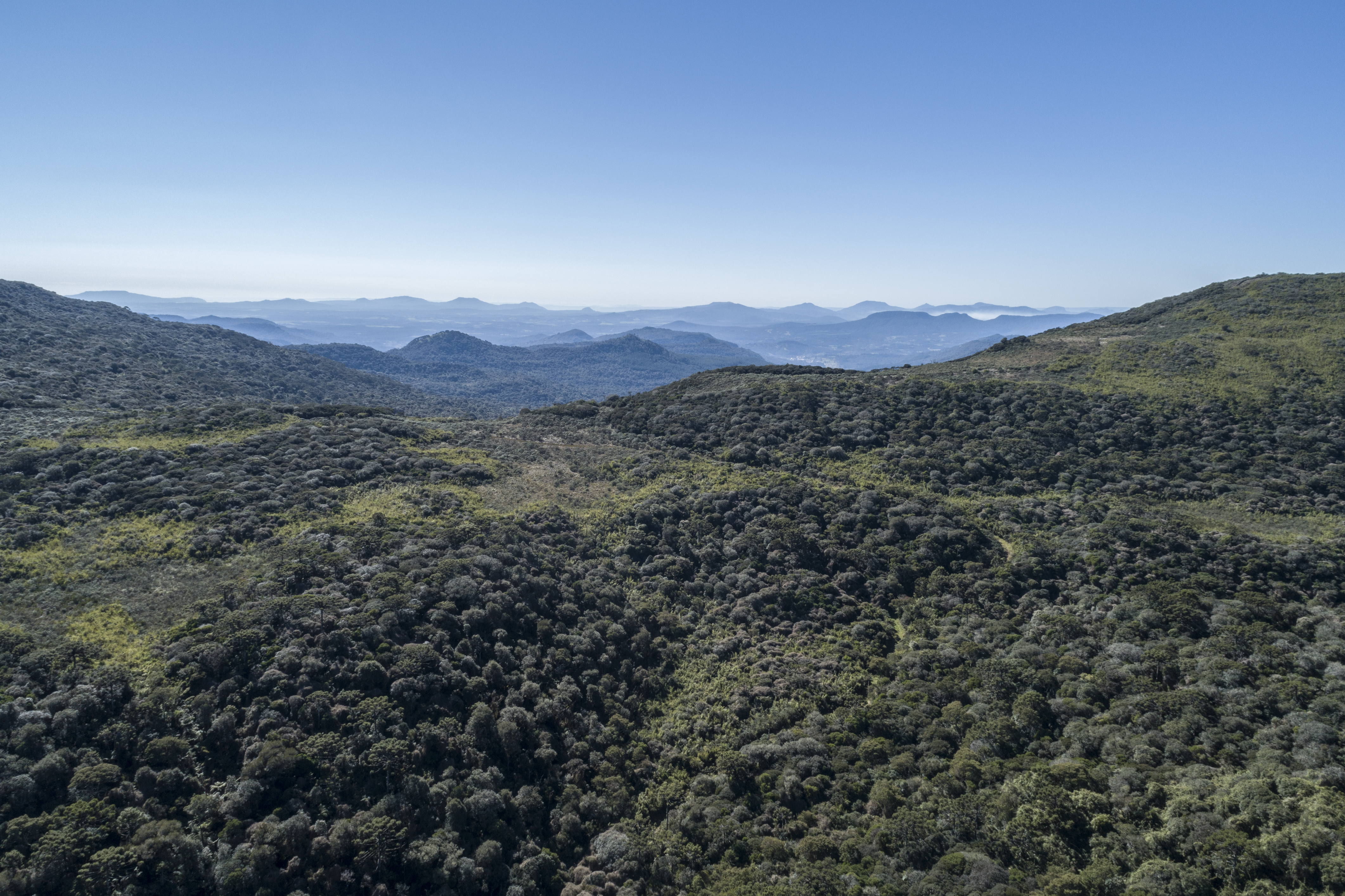 conservação klabin RPPN Serra da Farofa