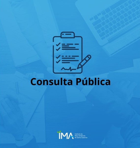 consulta pública 