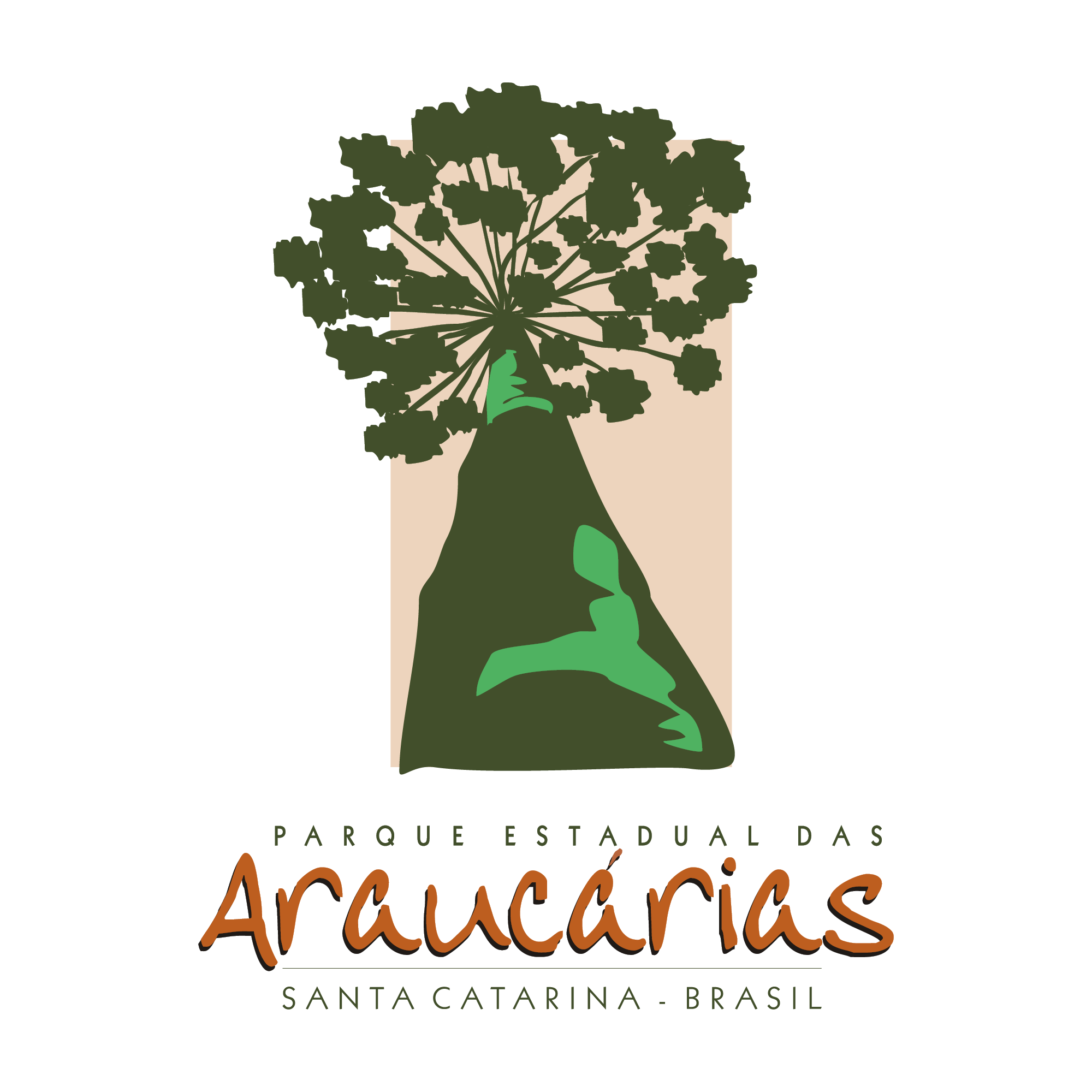 araucaria alta