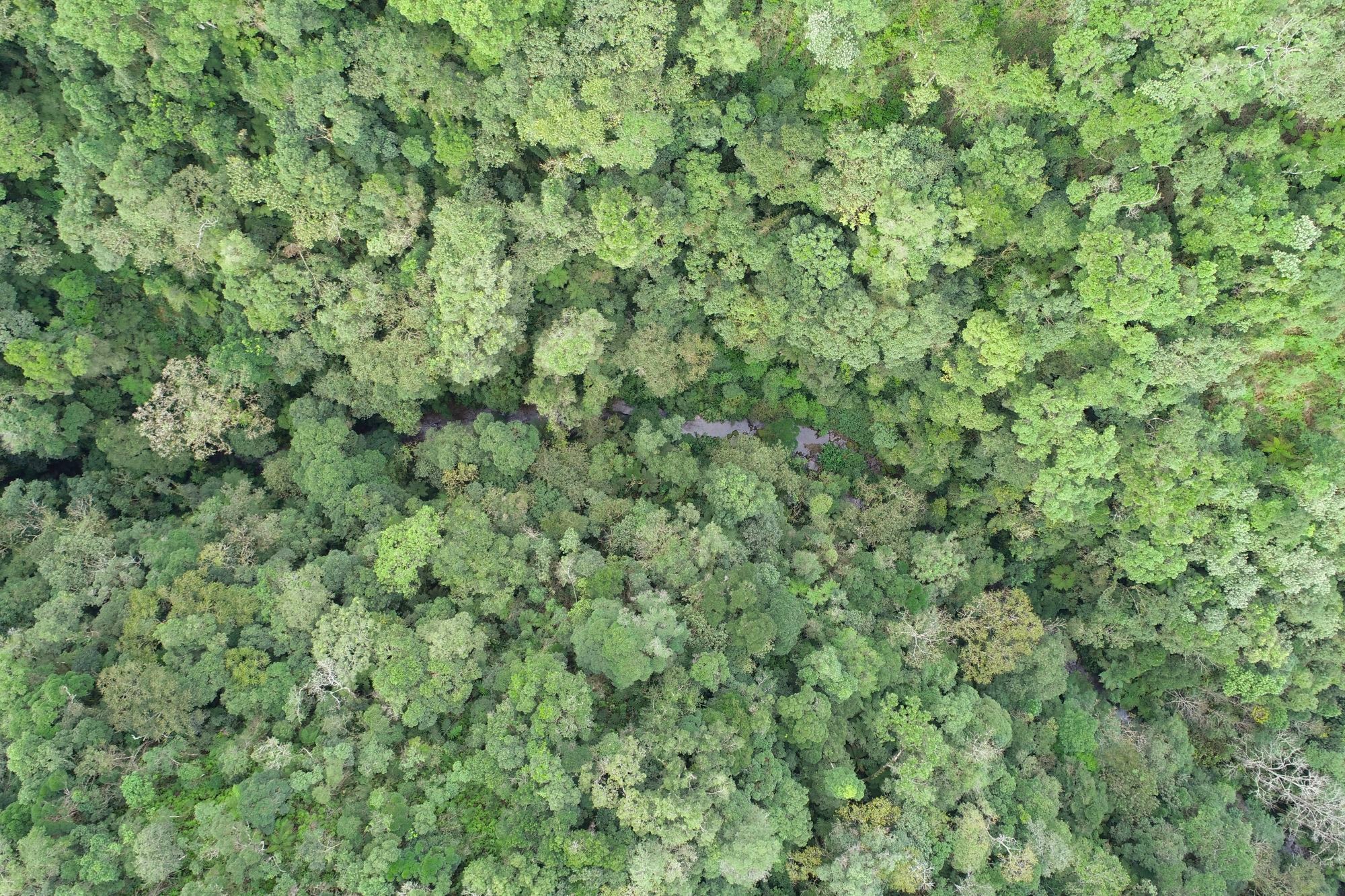 org cc27f1d3af8c3cc4 1687457852000sassafra2026