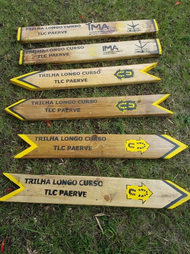 placas TLC PAERVE