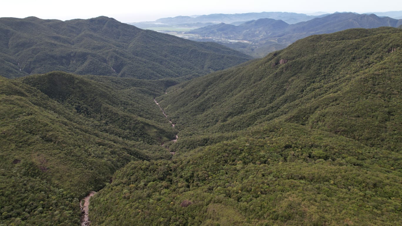 tabuleiro012404 2026 04 24 at 14.19.48