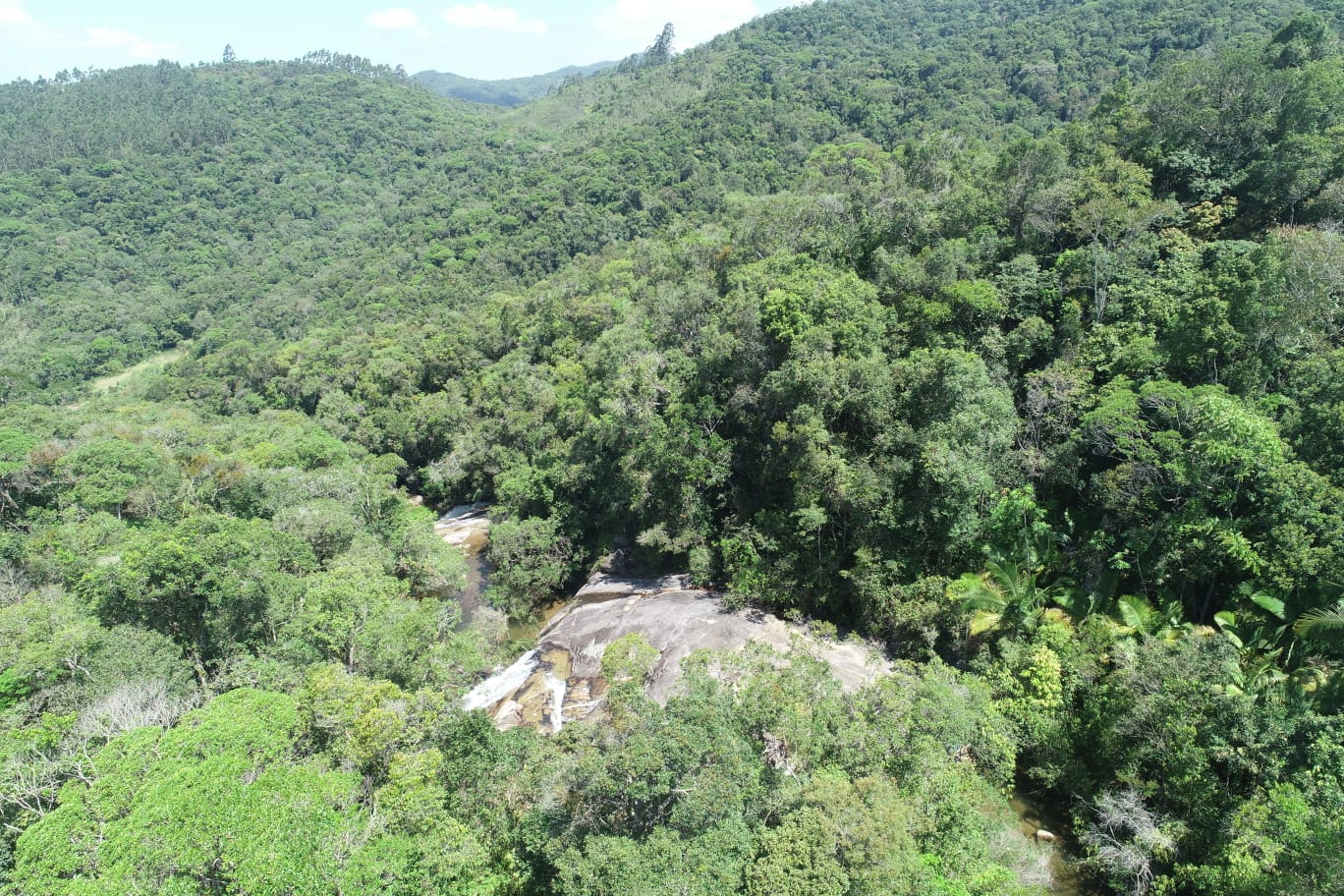 tabuleiro022404 2026 04 24 at 14.21.27