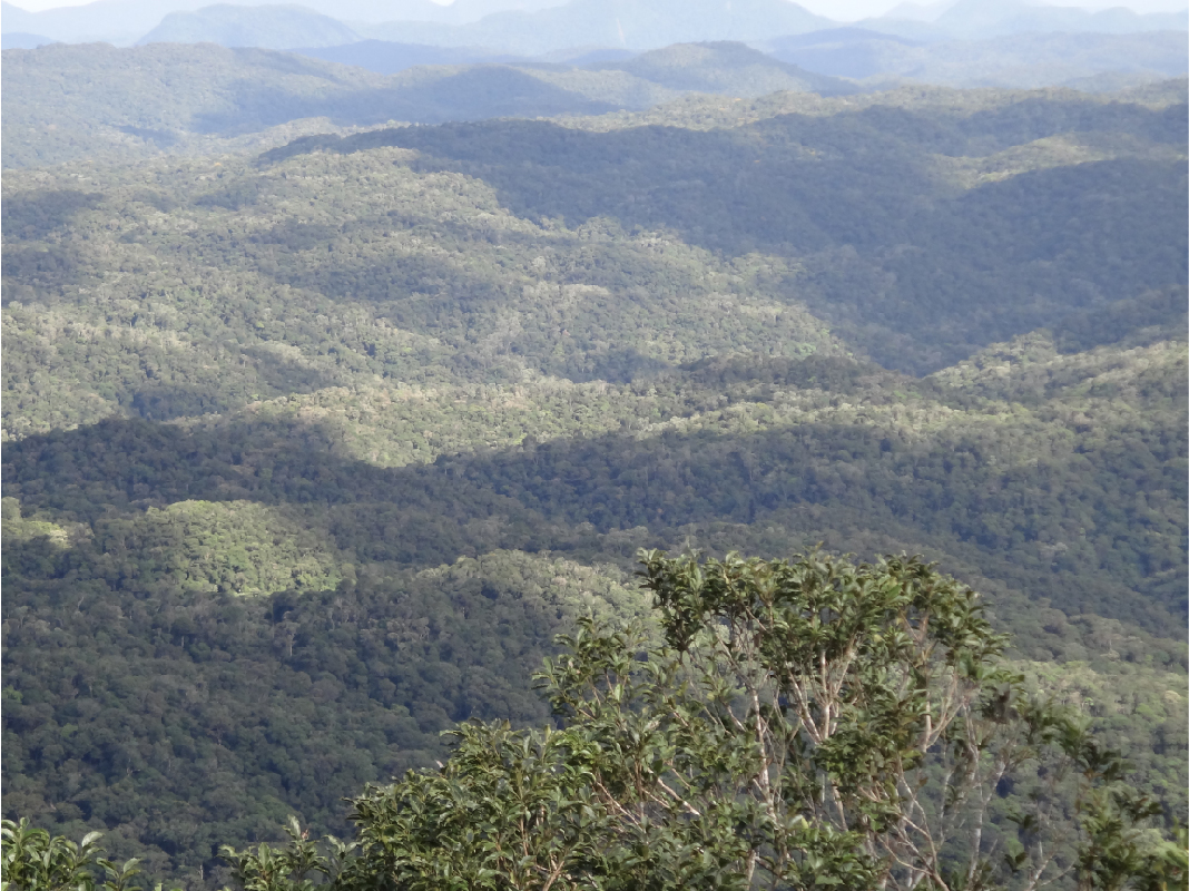 Estudos técnicos para criação da Reserva Biológica Estadual Vale das Nascentes
