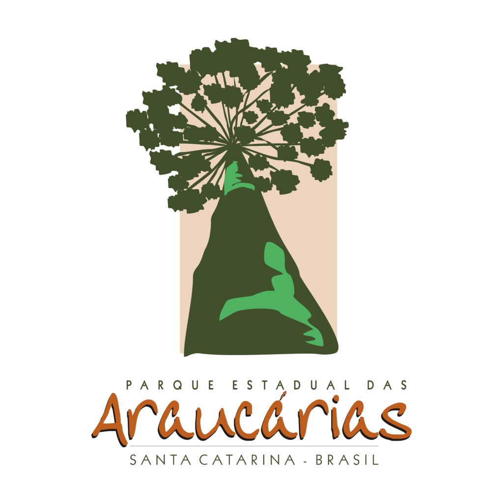 araucaria alta