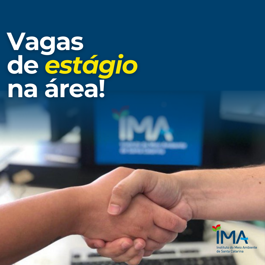 vagesta20263